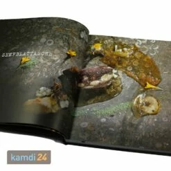 MONOLITH Buch ASCHE, Glut & Feuer -Outdoorchef-ausverkauf monolith buch asche glut feuer 24494 m 4