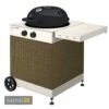 Outdoorchef Arosa Tex2 Grillverkleidung 1 Outdoorchef Arosa Tex2 Grillverkleidung -Outdoorchef-ausverkauf outdoorchef arosa tex2 grillverkleidung