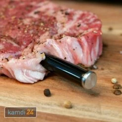 The MeatStick Set 3: The MeatStick Inkl. Ladegerät, WiFi Bridge Und Transporttasche 19 The MeatStick Set 3: The MeatStick Inkl. Ladegerät, WiFi Bridge Und Transporttasche -Outdoorchef-ausverkauf the meatstick set 3 the meatstick inkl ladegeraet wifi bridge und transporttasche 20479 m 7