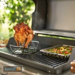 Weber Geflügelhalter -Outdoorchef-ausverkauf weber gefluegelhalter 25784 m 3