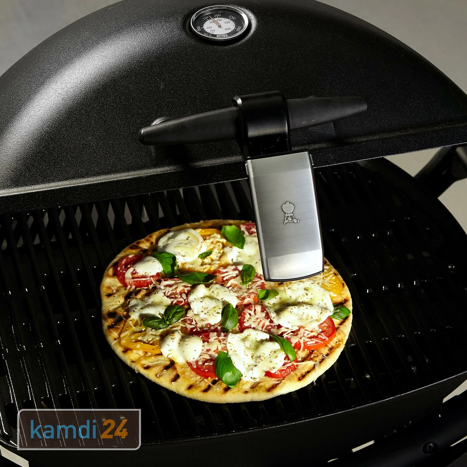 Weber Grifflicht Für Q-Serie 7 Weber Grifflicht Für Q-Serie – Bild 5