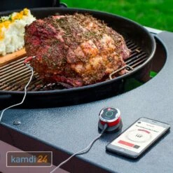 Weber IGrill Mini Temperaturfühler -Outdoorchef-ausverkauf weber igrill mini temperaturfuehler 25582 m 2